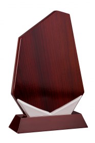 Trofee din Lemn WT 112